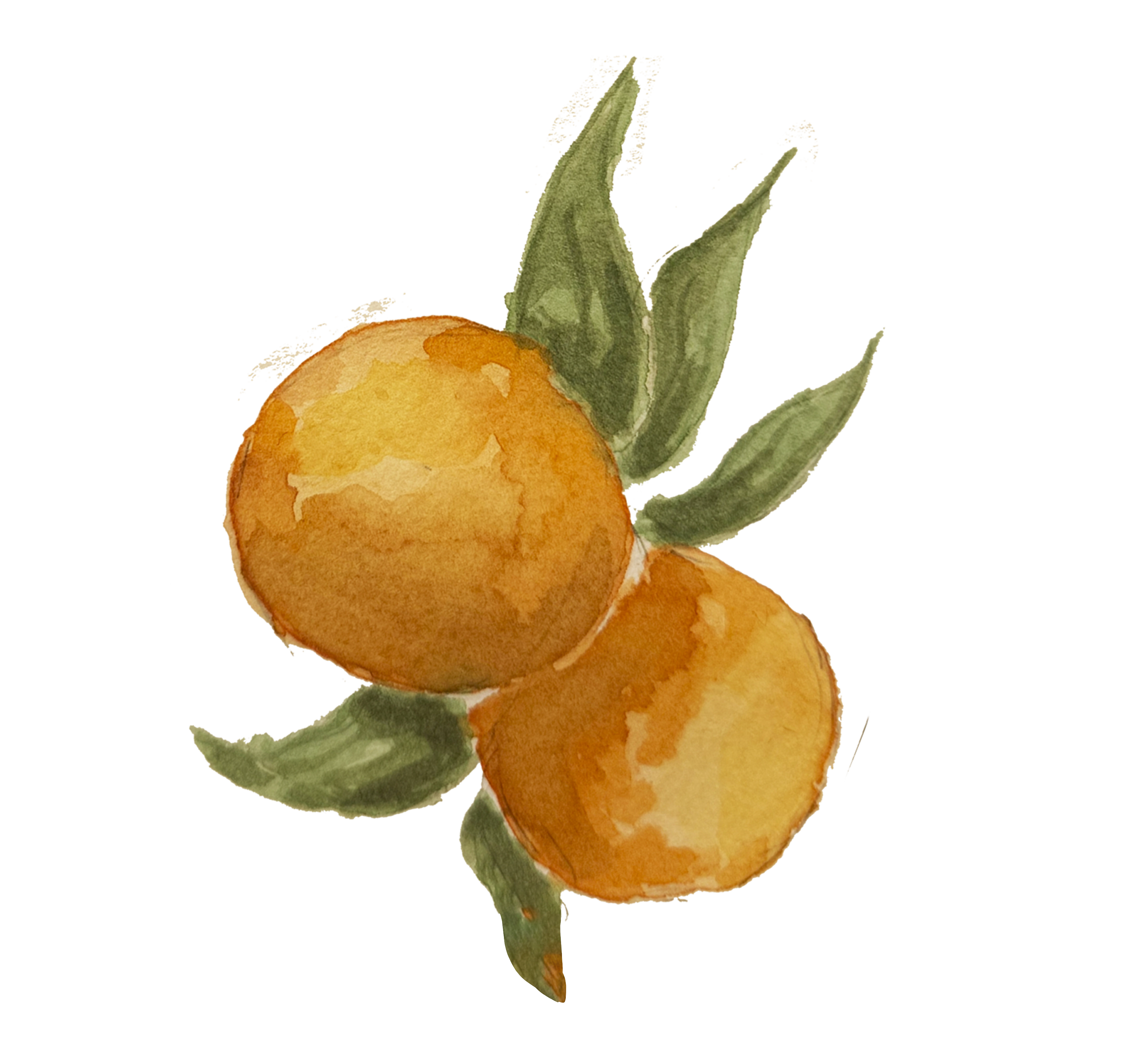 Laranja direita